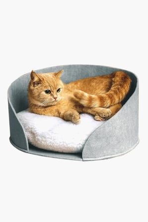Yumuşak Peluş Kedi Yatağı, Konforlu ve Şık Evcil Hayvan Evi
