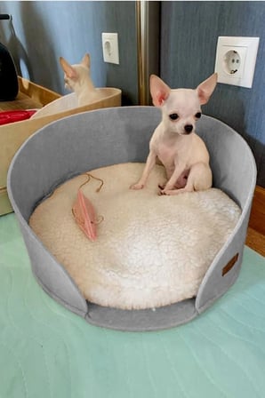 Yumuşak Peluş Kedi Yatağı, Konforlu ve Şık Evcil Hayvan Evi