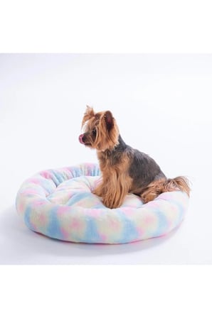 Renkli Simit Kedi ve Köpek Yatağı – Ultra Yumuşak Peluş, Konforlu Rahatlık