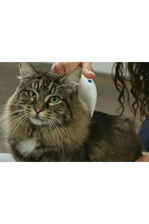 Etkili Kedi ve Köpek Pire Temizleyici Saç Taraması Aracı