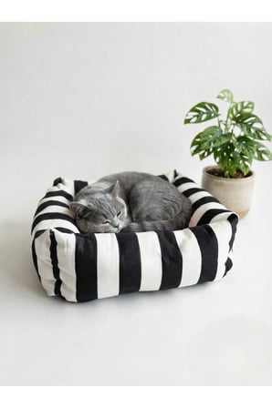 Yumuşak Kare Zebra Desenli Köpek ve Kedi Yatağı, Konfor ve Şıklık