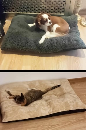 Renkli Peluş Kedi ve Köpek Yatağı, Konforlu Yer Minderi