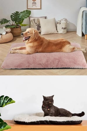Renkli Peluş Kedi ve Köpek Yatağı, Konforlu Yer Minderi