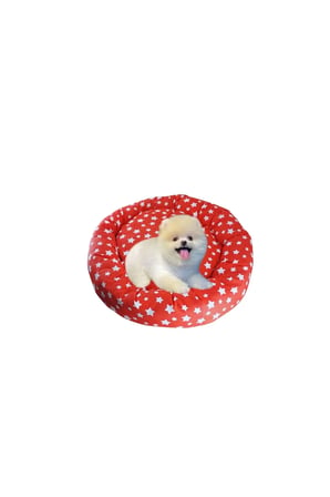 Yumuşak ve konforlu 45x45 puanlı kedi ve köpek yatağı