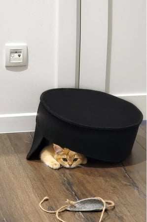 Rahat ve Şık Kedi Yatağı, Evcil Hayvanlar İçin Konforlu Kulübe