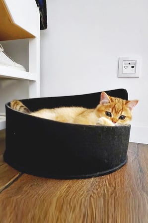 Rahat ve Şık Kedi Yatağı, Evcil Hayvanlar İçin Konforlu Kulübe