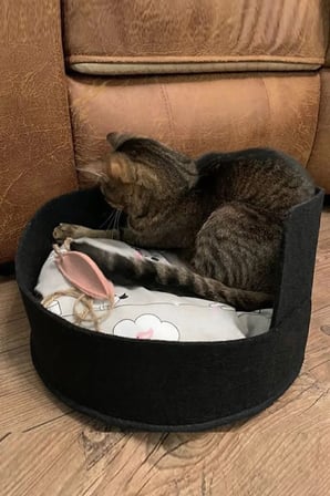 Rahat ve Şık Kedi Yatağı, Evcil Hayvanlar İçin Konforlu Kulübe