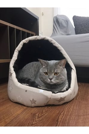 Yumuşak Nano Kedi Yatağı, Sıcak ve Ferah Tutar, Konfor Sunar