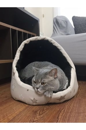 Yumuşak Nano Kedi Yatağı, Sıcak ve Ferah Tutar, Konfor Sunar