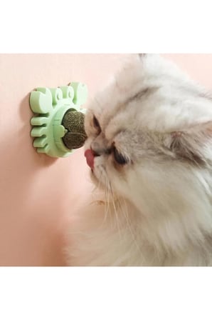 Renkli Kedi Otu Oyun Topu, Eğlenceli ve Dayanıklı Kedi Oyunu