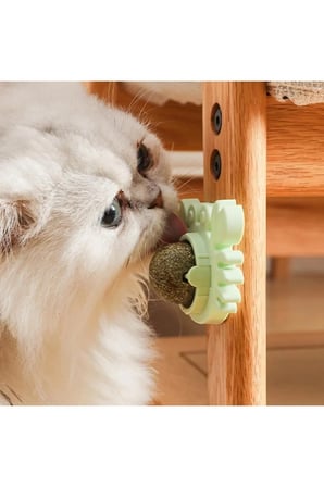 Renkli Kedi Otu Oyun Topu, Eğlenceli ve Dayanıklı Kedi Oyunu