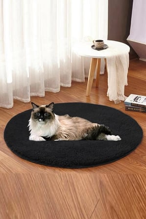Yumuşak Peluş Kedi Yatağı, Konforlu ve Şık Evcil Hayvan Minderi