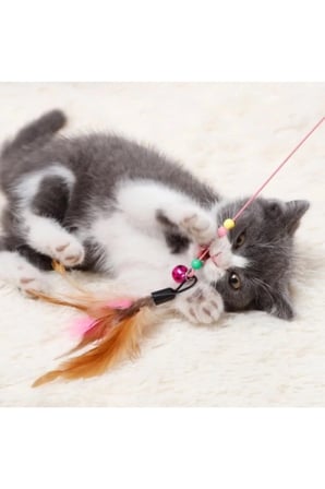 Renkli Kedi Oyun Oltası 90 cm ile Eğlence Dolu Anlar