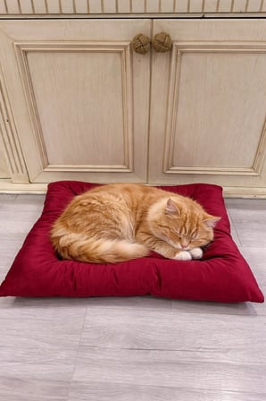 Rahat ve şık kedi yatağı, konforlu uyku alanı için ideal seçim