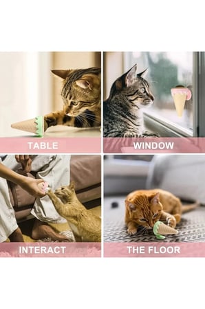 Dondurma Şeklinde Kedi Nanesİ ve Kedi Otu, Taze ve Lezzetli Takviye