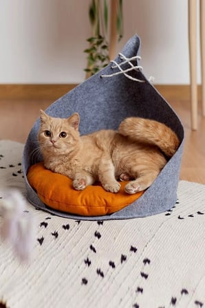 Renkli Kedi Yatağı, Konforlu Silikon Elyaflı Minder, Evcil Hayvanlar İçin Rahat Kulübe