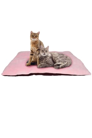 Rahat Peluş Kedi ve Köpek Yatağı, Large, Karışık Renkler