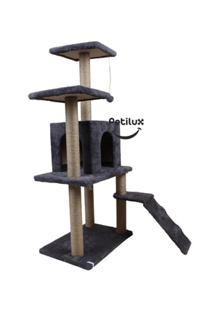 Renkli Kedi Tırmalama ve Oyun Evi, Rahat ve Eğlenceli Tasarım