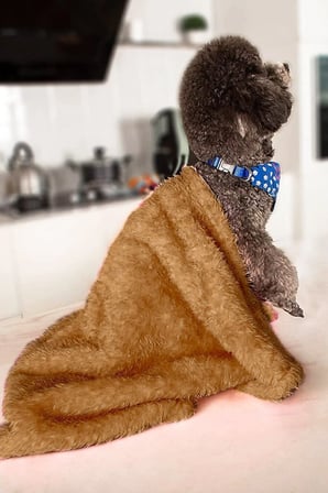 Yumuşak Peluş Kedi ve Köpek Yatağı 60x90 Kahve, Rahat ve Şık Tasarım