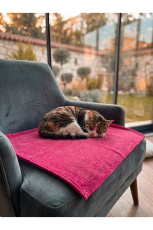 Yumuşak Pelüş Kedi Köpek Yatağı ve Battaniye 90x60cm, Rahat ve Şık Tasarım