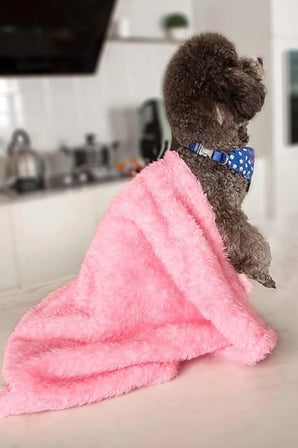 Yumuşak Pembe Peluş Kedi ve Köpek Yatağı 60x90 cm, Konforlu ve Şık