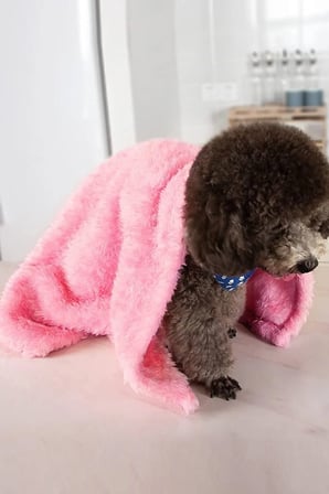 Yumuşak Pembe Peluş Kedi ve Köpek Yatağı 60x90 cm, Konforlu ve Şık