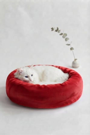 Rahat ve şık küçük irk kedi ve köpek yatağı, 50 cm çap, konforlu kullanım