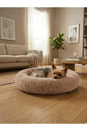 Rahat ve Yumuşak Peluş Kedi ve Köpek Yatağı, Donut Tasarım