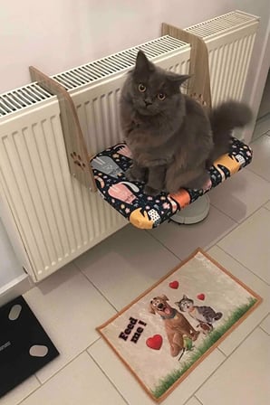 Kalorifer Petek Radyatör Yatağı, Kedi ve Köpek Askılı Yatak, Hediye Paspas