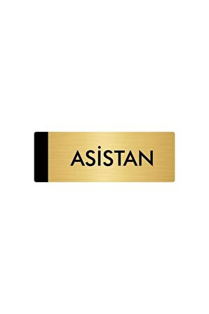 Metal Yönlendirme Levhası, Departman Kapı Isimliği Asistan 5x20 Cm Altın Renk