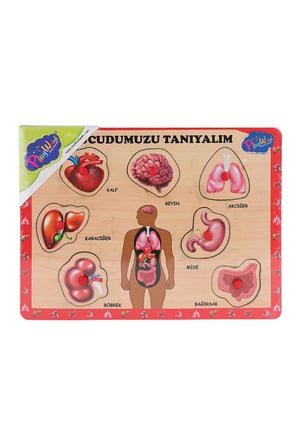 Kız Çocuk Oyuncak ONY-287 288 Ahşap Tutmalı Vücumuzu Tanıyalım -Onyıl Oyuncak Eğ