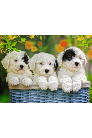 Kız Çocuk Oyuncak 127658 Cuddly Puppies 200 parça XXL Ravensburger Puzzle Eğiticiic