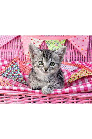 Kız Çocuk Oyuncak 129850 Cute Kitty 100 parça XXL Ravensburger Puzzle Erkek Çocuk Oyuncak Eğitici Oy