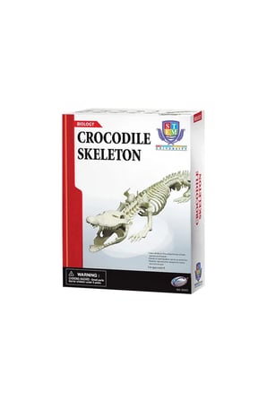 Kız Çocuk Oyuncak Timsah İskeleti Bilim Seti Erkek Çocuk Oyuncak Eğitici Oyuncaklar