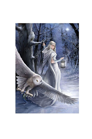 Kız Çocuk Oyuncak 5229 Gece yarısı Habercisi 1000 Parça - Art Puzzle Erkek Çocuk Oyuncak Eğitici Oyu