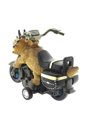 Kız Çocuk Oyuncak Sürtmeli Dinozor Motor Triceratops Erkek Çocuk Oyuncak Eğitici Oyuncaklar