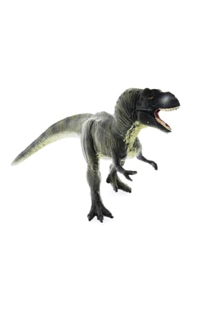 Kız Çocuk Oyuncak Sert Plastik Dinozor Figür - T-Rex Erkek Çocuk Oyuncak Eğitici Oyuncaklar