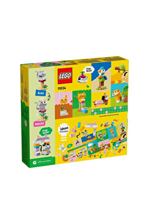 Kız Çocuk Oyuncak 11034 LEGO® Classic Yaratıcı Evcil Hayvanlar 450 parça +5 yaş