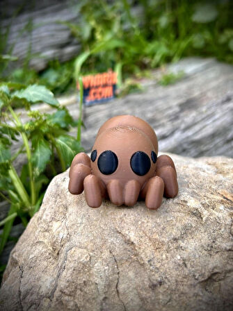Örümcek Oyuncak - Doğanın Gizemli Dokumacısı 🕷️🕸️ 3D Hareketli Organik Model - Orta Boy