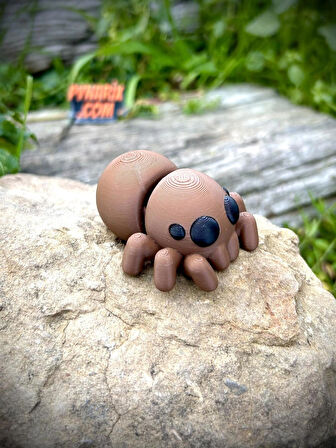 Örümcek Oyuncak - Doğanın Gizemli Dokumacısı 🕷️🕸️ 3D Hareketli Organik Model - Orta Boy