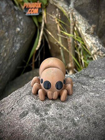 Örümcek Oyuncak - Doğanın Gizemli Dokumacısı 🕷️🕸️ 3D Hareketli Organik Model - Orta Boy
