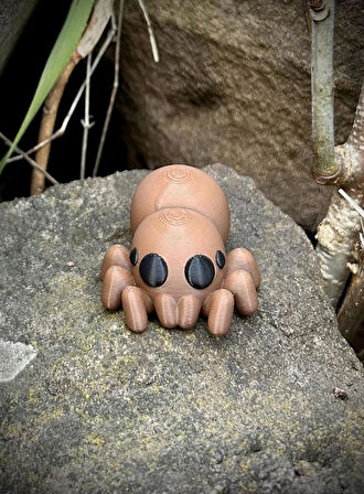 Örümcek Oyuncak - Doğanın Gizemli Dokumacısı 🕷️🕸️ 3D Hareketli Organik Model - Orta Boy