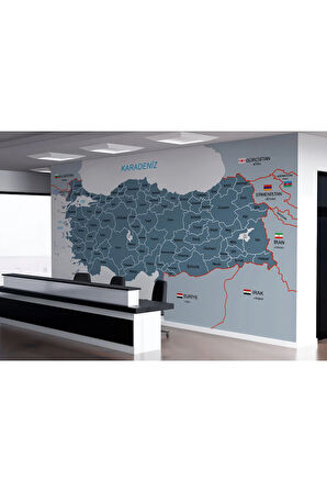 Oxyteez   Türkiye Haritası Sınır Komşulu Eğitici Dekoratif Duvar Kağıdı-3093 3093