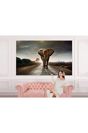 Oxyteez   Yürüyen Fil Duvar Kağıdı - Posteri-3959 3959