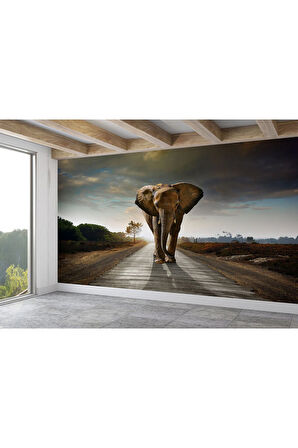 Oxyteez   Yürüyen Fil Duvar Kağıdı - Posteri-3959 3959