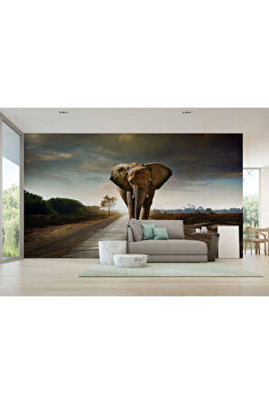 Oxyteez   Yürüyen Fil Duvar Kağıdı - Posteri-3959 3959