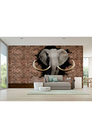Oxyteez   Duvardan Çıkan Fil Duvar Kağıdı-5609 5609