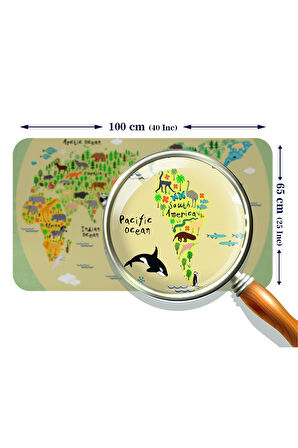 Eğitici Dünya Haritası Dünya Atlası Çocuk ve Bebek Odası Duvar Sticker-60x105-3773