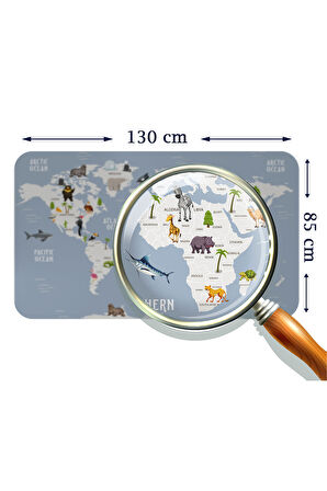 Eğitici Dünya Haritası Dünya Atlası Çocuk ve Bebek Odası Duvar Sticker-85x130-3789