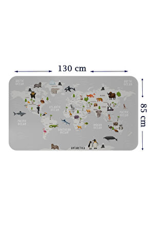 Eğitici Dünya Haritası Dünya Atlası Çocuk ve Bebek Odası Duvar Sticker-85x130-3790